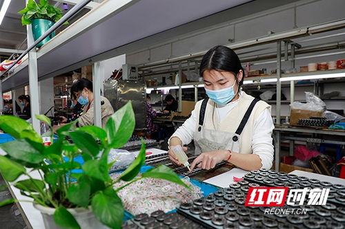 湖南新田 社區(qū) 微工廠 靈活促就業(yè) 組圖