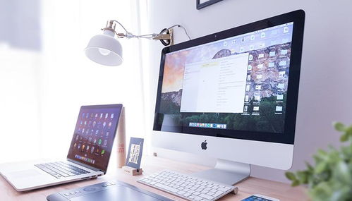 互聯(lián)網(wǎng)品牌營銷有哪些策略