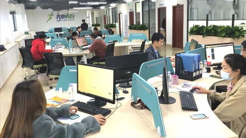 逆勢增長 我市一季度4項關(guān)鍵性指標(biāo)增幅居全省首位