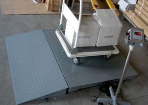 供應 廠家直銷 1噸電子地泵,2噸電子地泵,3噸電子地泵