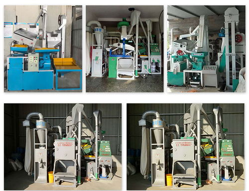 重慶15噸碾米機 吉安隆順廠 15噸碾米機批發